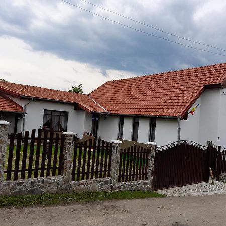 Pensiunea Narcisa Cu Ciubar Malaesti Exterior photo