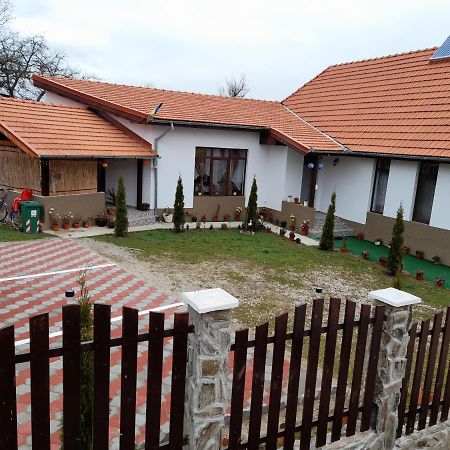 Pensiunea Narcisa Cu Ciubar Malaesti Exterior photo