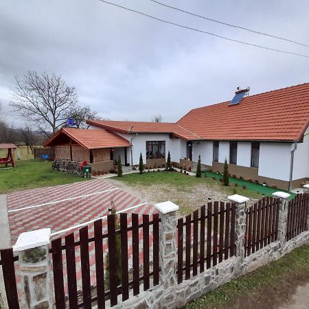 Pensiunea Narcisa Cu Ciubar Malaesti Exterior photo