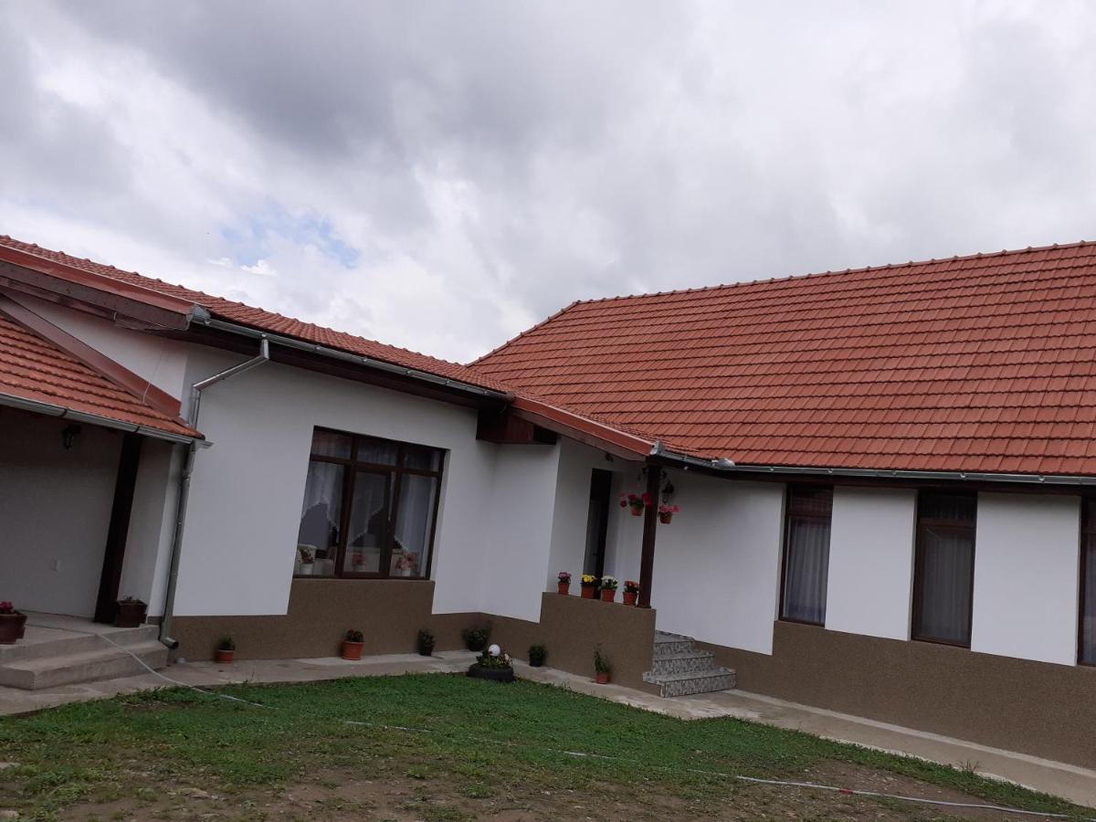 Pensiunea Narcisa Cu Ciubar Malaesti Exterior photo