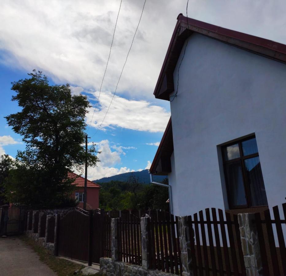 Pensiunea Narcisa Cu Ciubar Malaesti Exterior photo