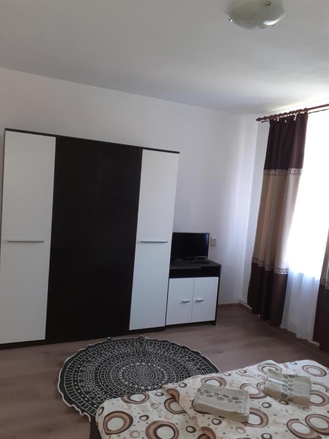 Pensiunea Narcisa Cu Ciubar Malaesti Exterior photo