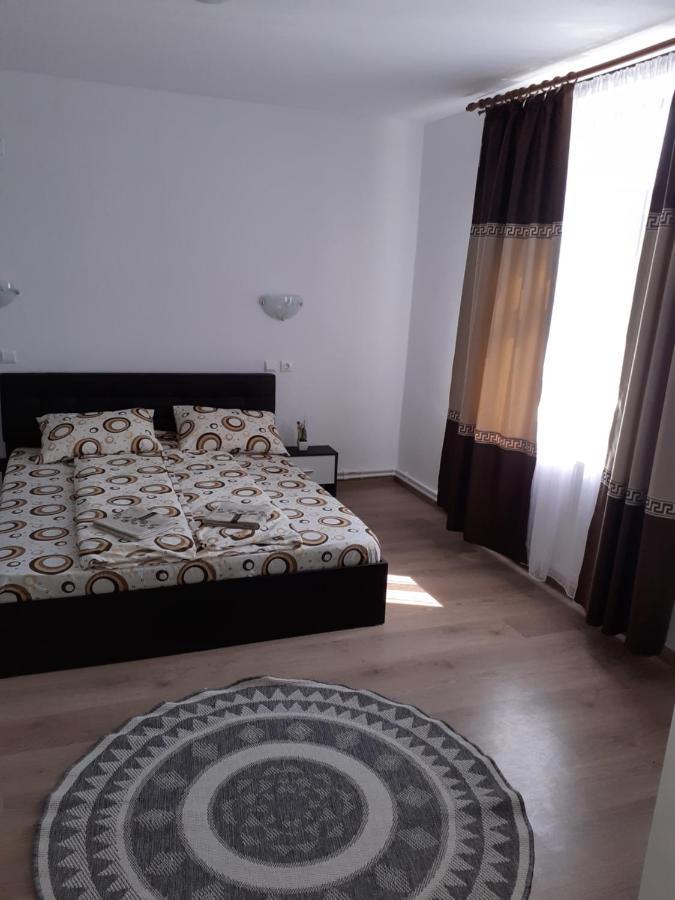 Pensiunea Narcisa Cu Ciubar Malaesti Exterior photo
