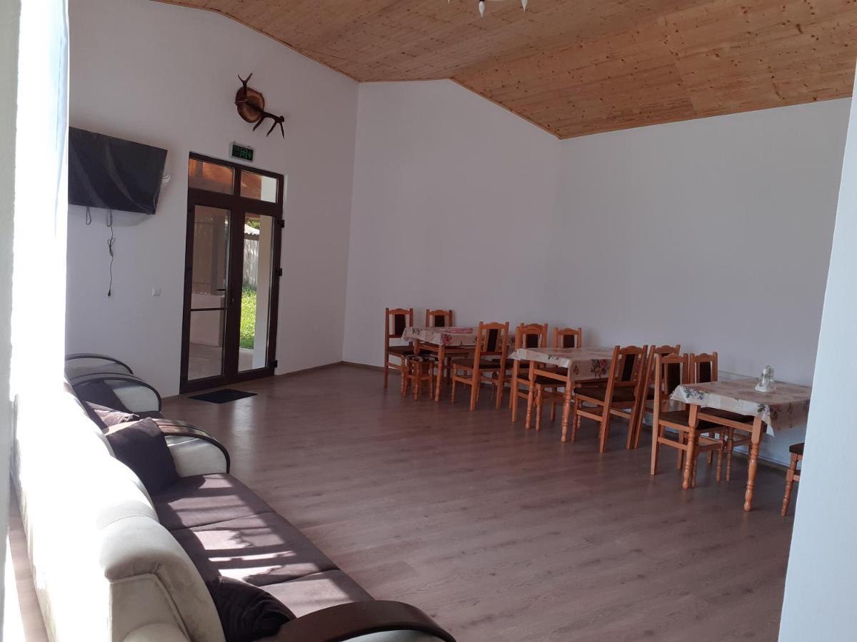 Pensiunea Narcisa Cu Ciubar Malaesti Exterior photo