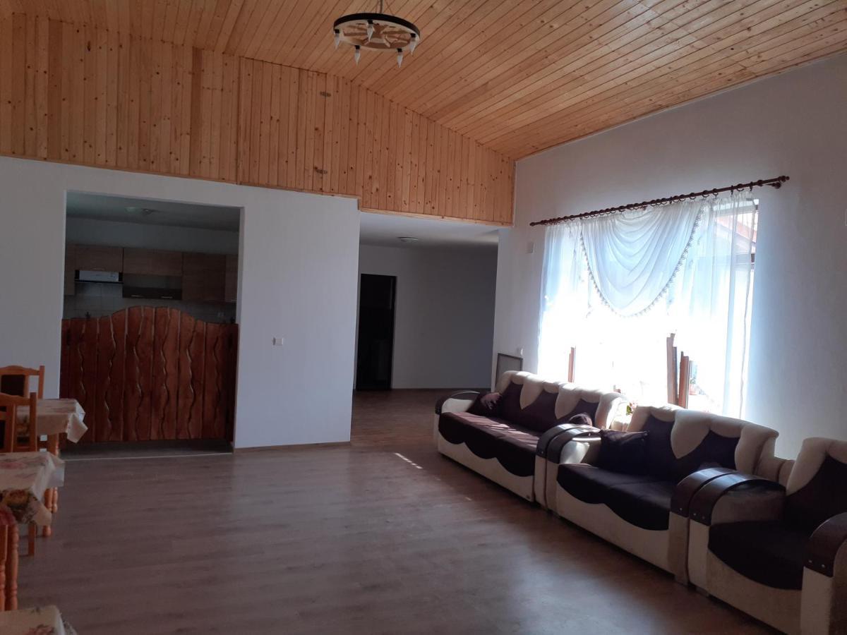 Pensiunea Narcisa Cu Ciubar Malaesti Exterior photo