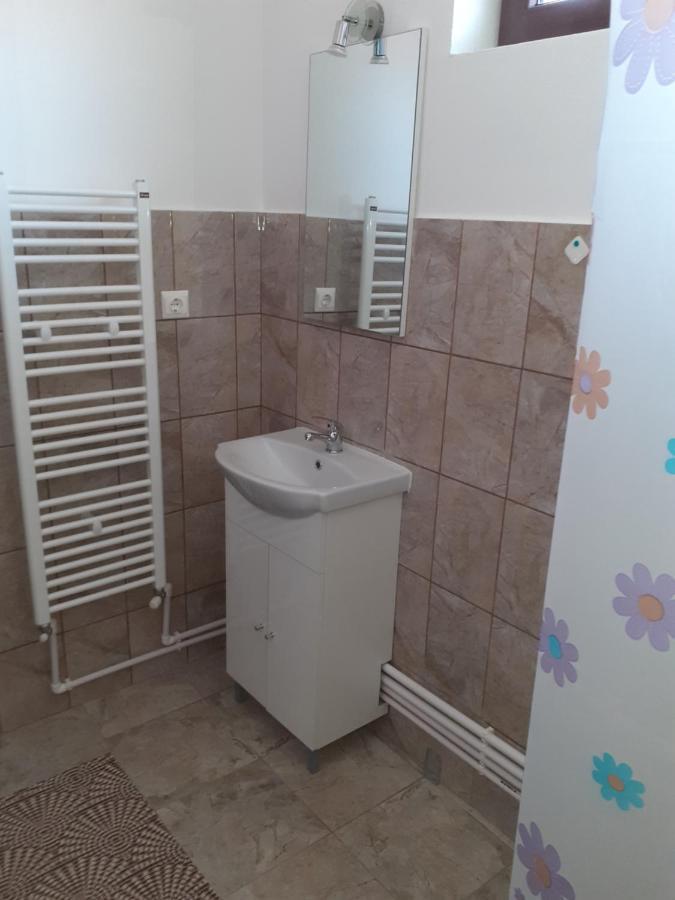 Pensiunea Narcisa Cu Ciubar Malaesti Exterior photo