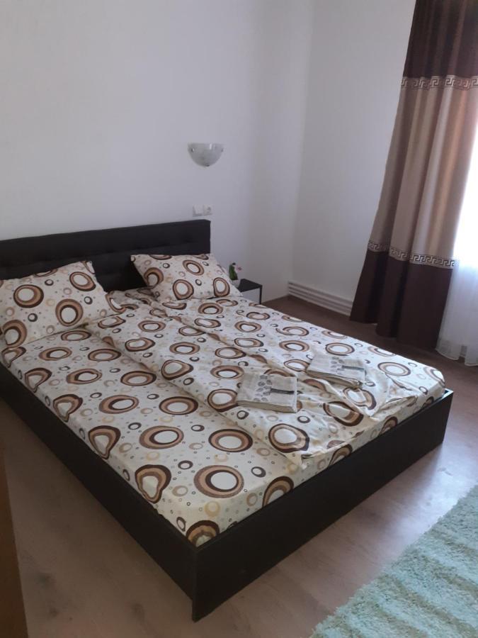 Pensiunea Narcisa Cu Ciubar Malaesti Exterior photo
