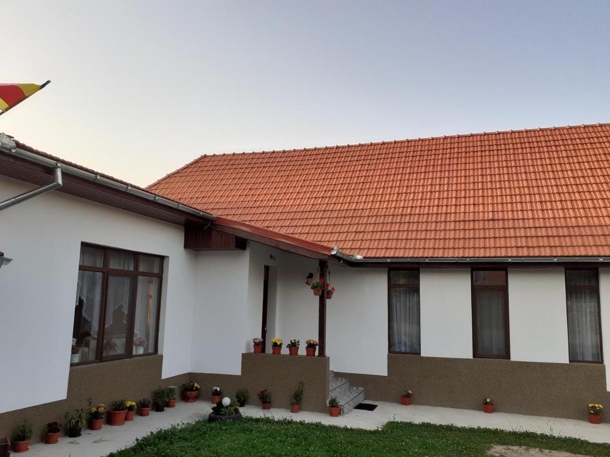 Pensiunea Narcisa Cu Ciubar Malaesti Exterior photo