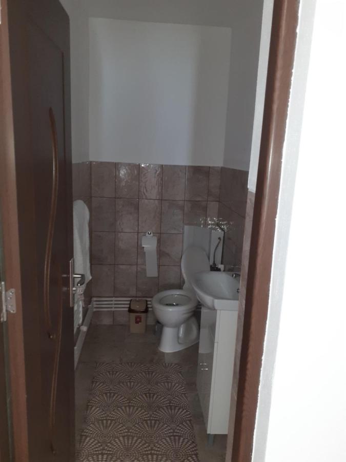 Pensiunea Narcisa Cu Ciubar Malaesti Exterior photo