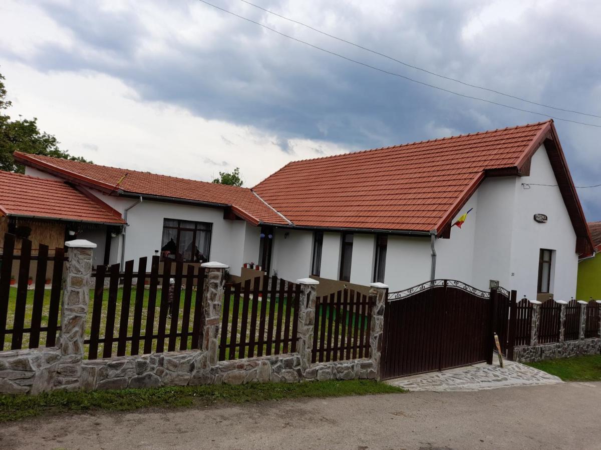 Pensiunea Narcisa Cu Ciubar Malaesti Exterior photo