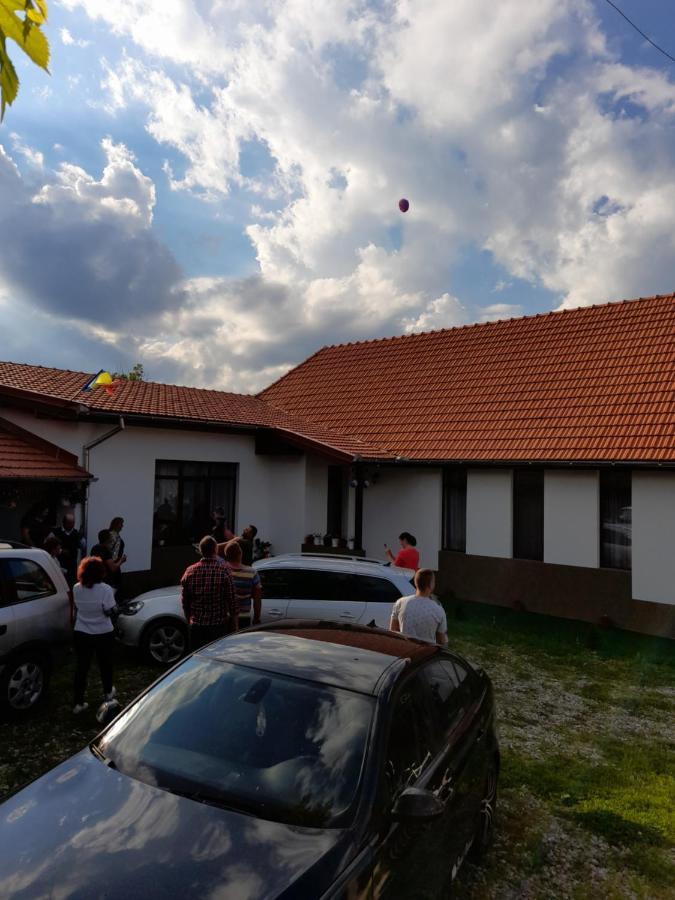 Pensiunea Narcisa Cu Ciubar Malaesti Exterior photo