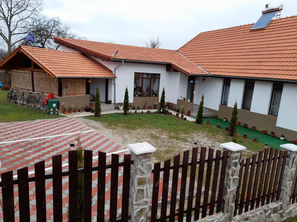 Pensiunea Narcisa Cu Ciubar Malaesti Exterior photo