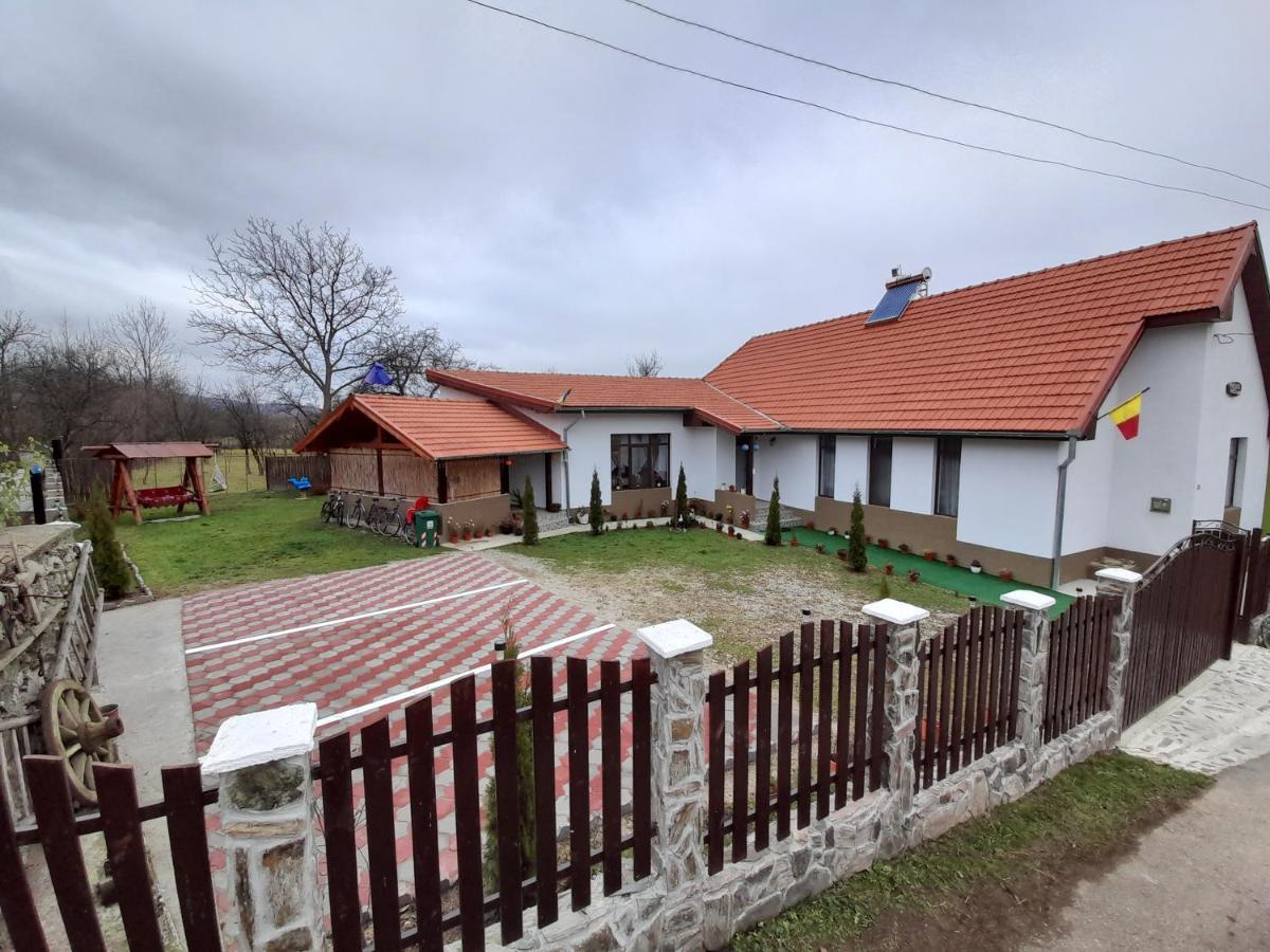 Pensiunea Narcisa Cu Ciubar Malaesti Exterior photo