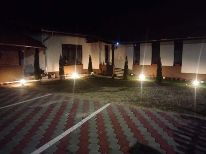 Pensiunea Narcisa Cu Ciubar Malaesti Exterior photo