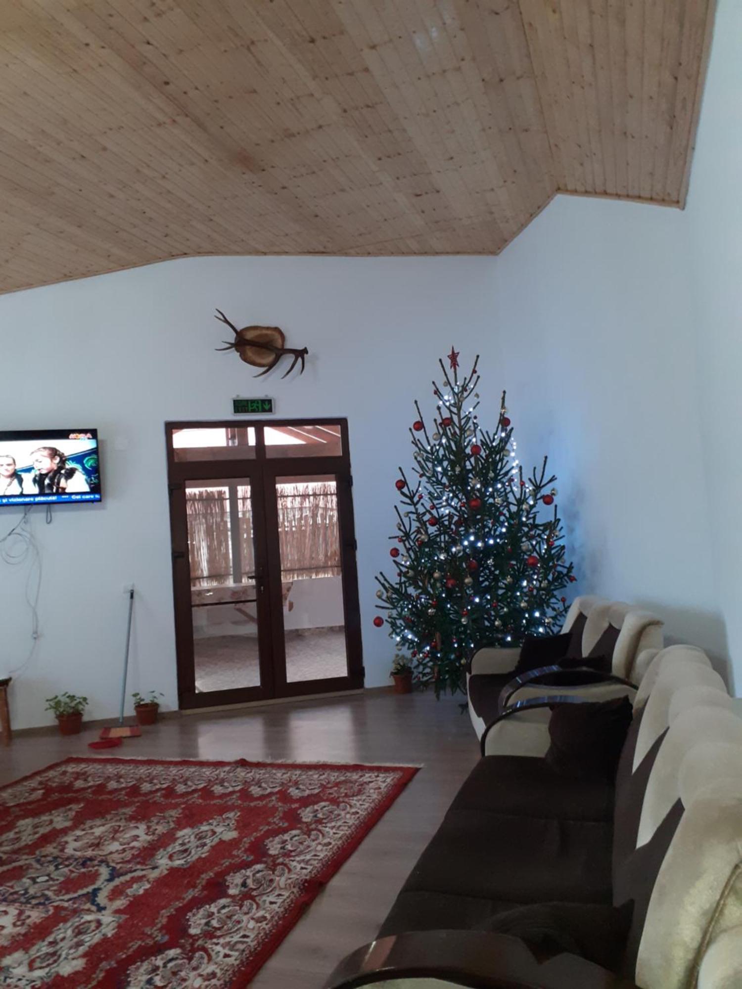 Pensiunea Narcisa Cu Ciubar Malaesti Room photo